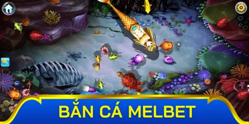 Những lưu ý khi chơi bắn cá tại Melbet