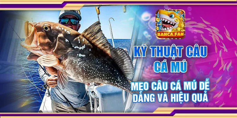 Kỹ Thuật Câu Cá Mú – Mẹo Câu Cá Mú Dễ Dàng Và Hiệu Quả