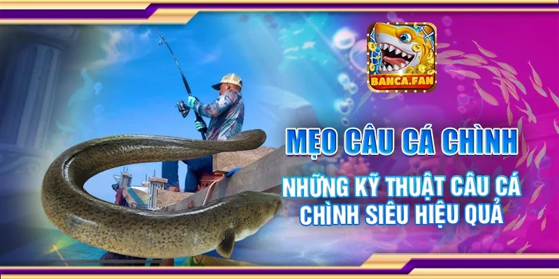 Mẹo Câu Cá Chình – Những Kỹ Thuật Câu Cá Chình Siêu Hiệu Quả