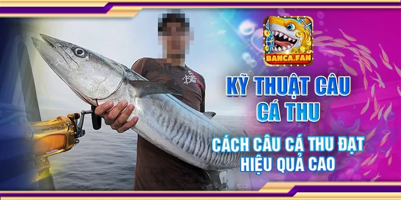 Kỹ Thuật Câu Cá Thu – Cách Câu Cá Thu Đạt Hiệu Quả Cao