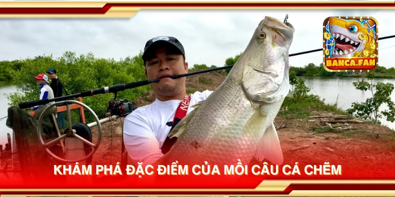 Khám phá đặc điểm của mồi câu cá chẽm