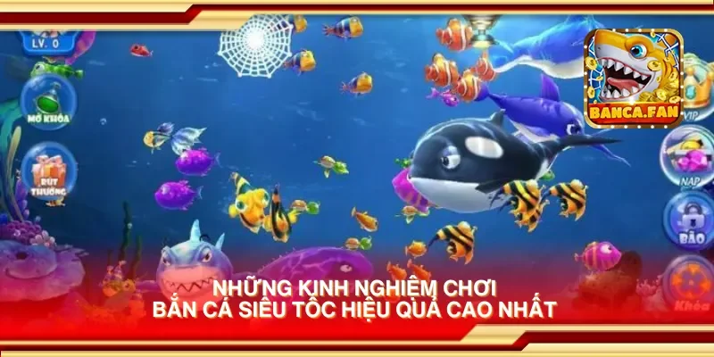Những kinh nghiệm chơi bắn cá siêu tốc hiệu quả cao nhất 