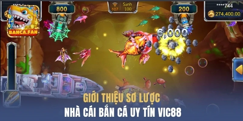 Giới thiệu sơ lược nhà cái bắn cá uy tín Vic88